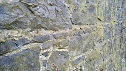 acastle 105665.jpg